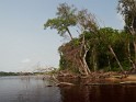 Loango Nationalpark (9)