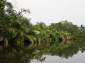 Loango Nationalpark (10)