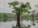 Tsam Tsam (5)