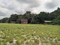 Pongara Nationalpark - Pongara Lodge