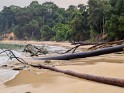 Pongara Nationalpark (4)
