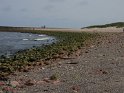 Helgoland (3)