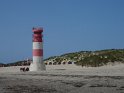 Düne (3)