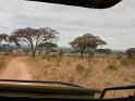 Tarangire National Park