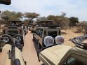 Andrang beim Leoparden